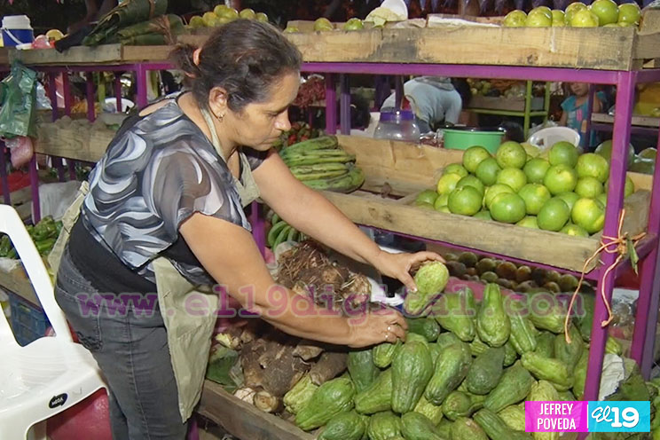 Las raíces y los tubérculos se combinan con el ejercicio físico en el Parque de Ferias