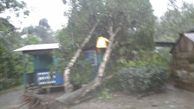 San Carlos reporta fuertes lluvias con ráfagas de vientos
