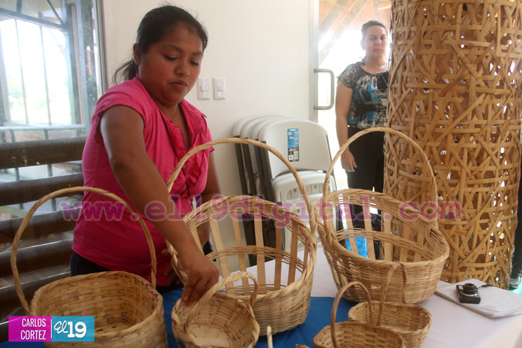 Mefcca y Taiwán anuncian próxima publicación de Guía del Bambú