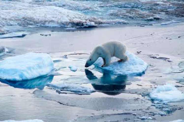 Confirman derretimiento de 13 mil lagos árticos