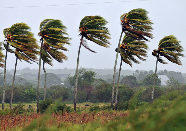 Fuertes vientos provocan incidencias en Nicaragua