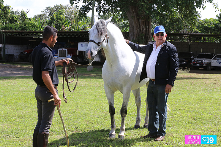 Majaloba, la casa del caballo español en Nicaragua