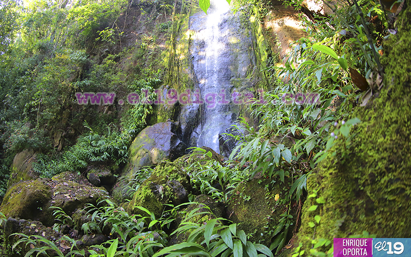 La Chorrera, un espectacular salto de agua en el corazón de Cerro Alegre 