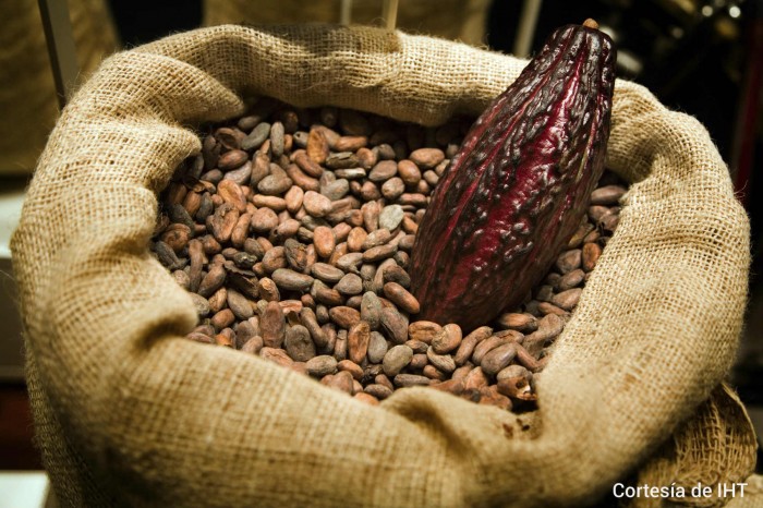 Productora nicaragüense de café y cacao participa en encuentro de Comercio Justo de Bristol, Inglaterra
