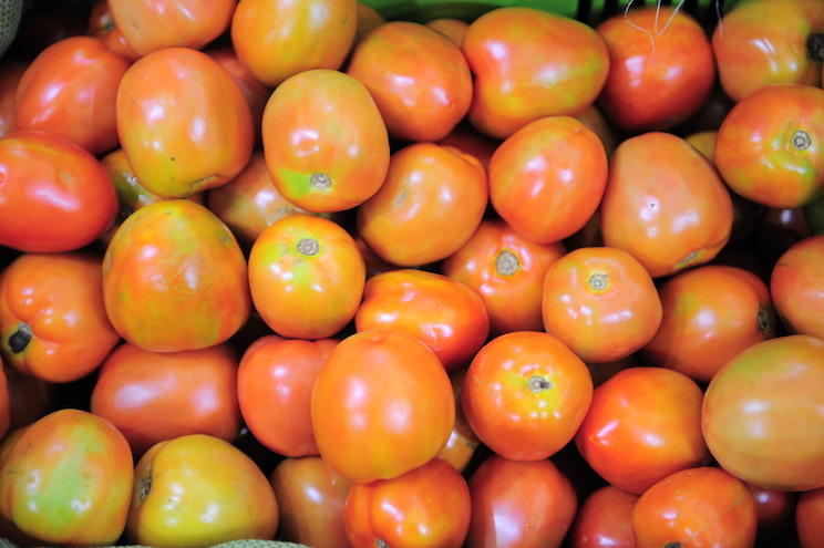 Exportaciones de tomate crecieron 62% en el 2016