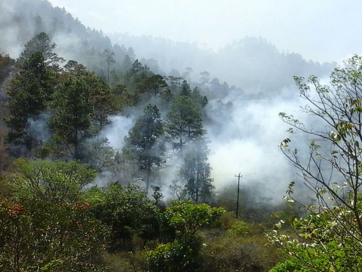 Reportan incendios forestales en San José de Cusmapa - El 19 Digital