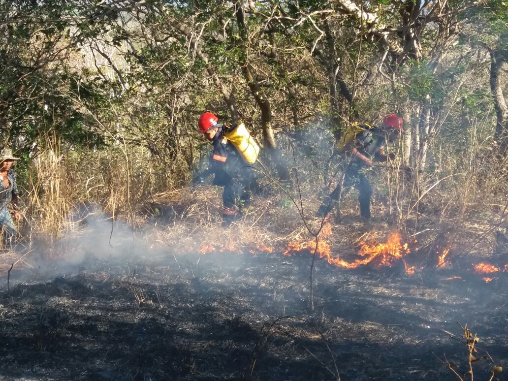 Incendio forestal en comunidad Roberto Turcios, en Rivas - El 19 Digital