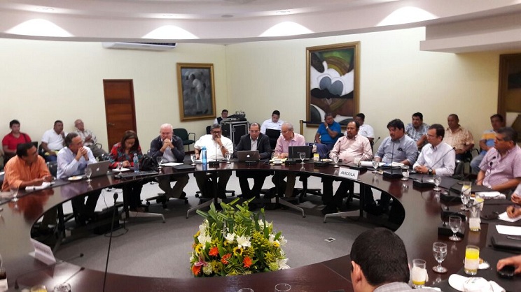 Sector avícola reporta aumento en producción de huevos y carne