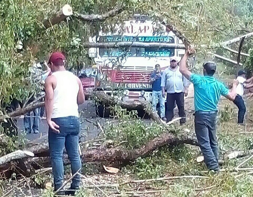 Vientos huracanados causan daños en varios municipios