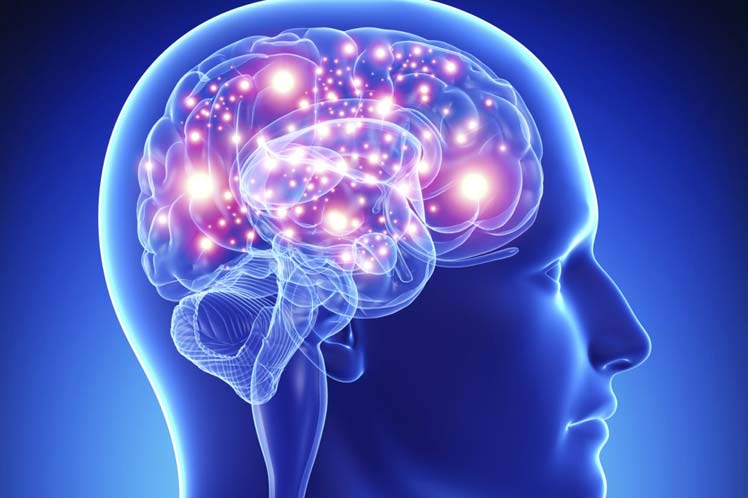 El cerebro humano cambia con entrenamiento cognitivo, asegura estudio
