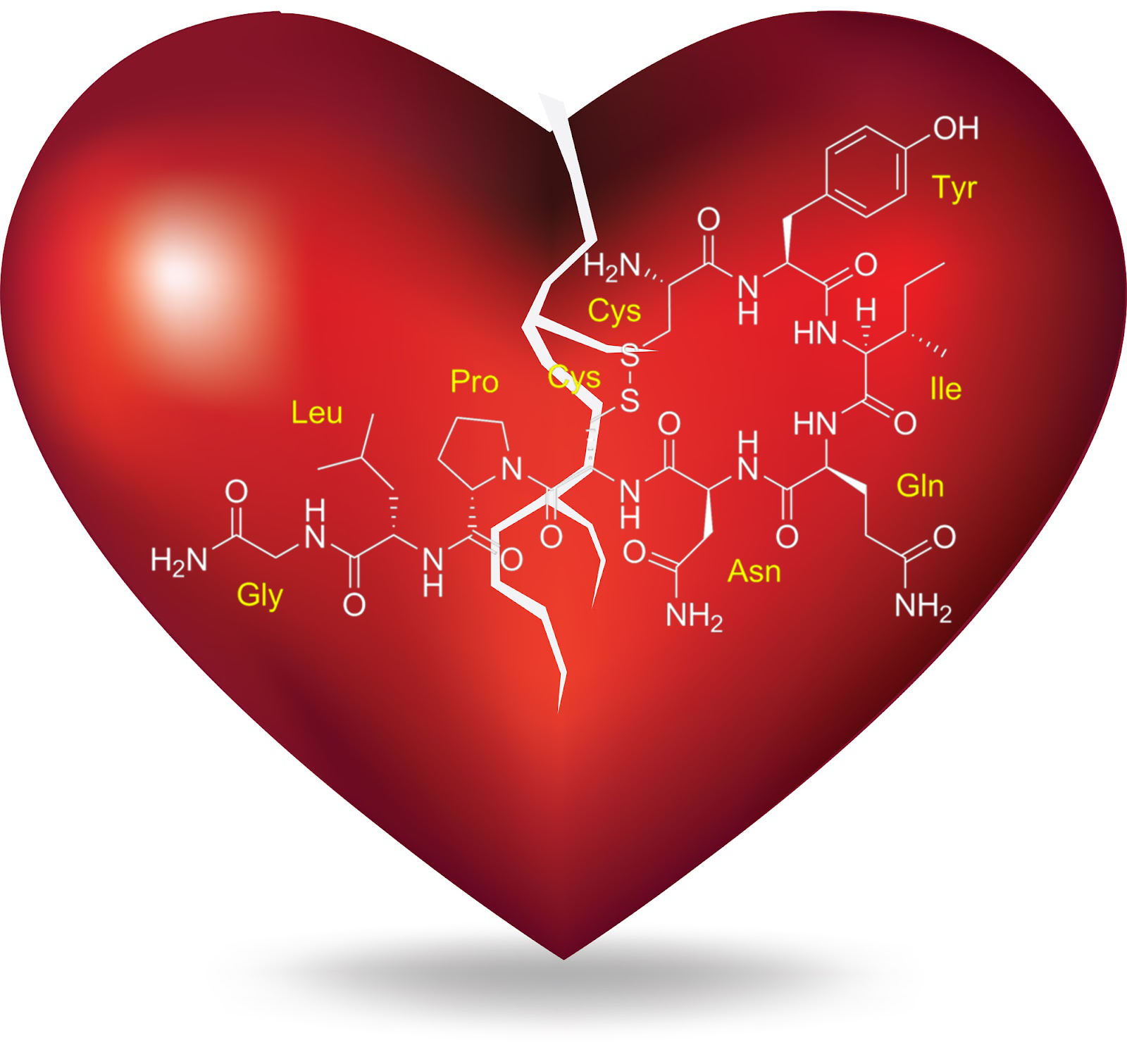 Hormona del amor influye en la afinidad grupal