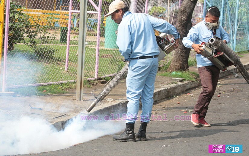Al permitir la fumigación nos salvamos de enfermedades