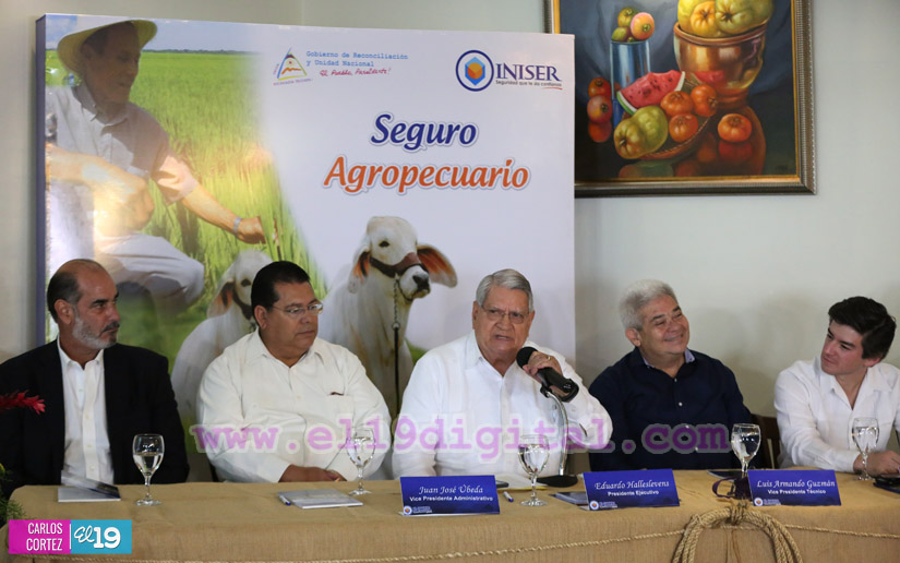 Iniser presenta póliza de Seguros Agrícola y Pecuario