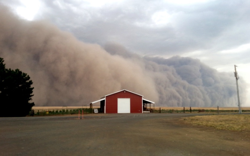 Predicen grandes tormentas de polvo en EE.UU. a partir de 2050