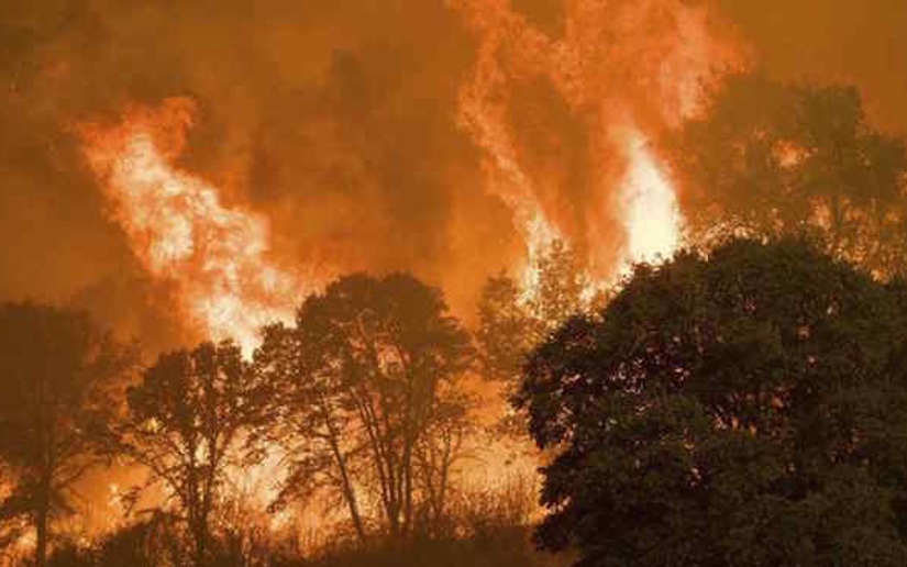 Incendio en California quema 58 casas