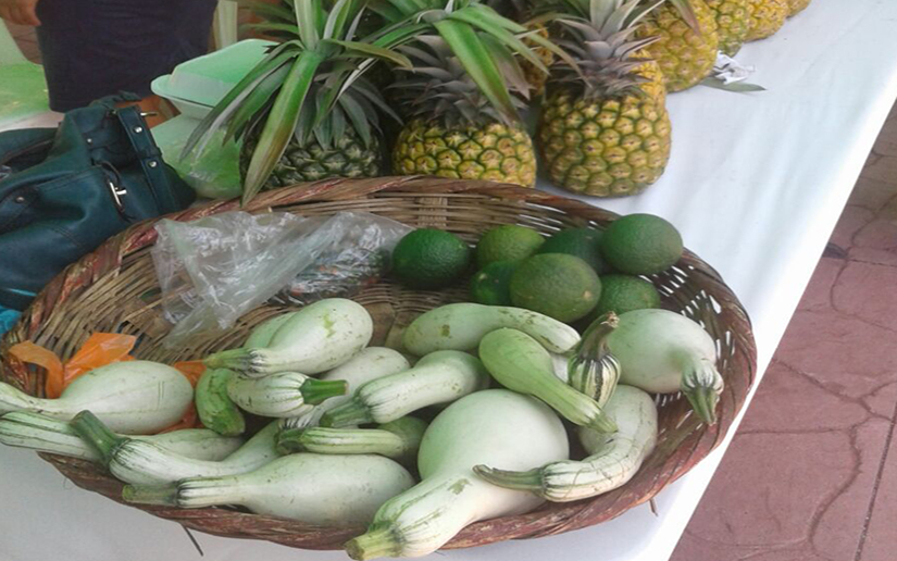 Productos básicos para la alimentación en la Plaza 22 de agosto