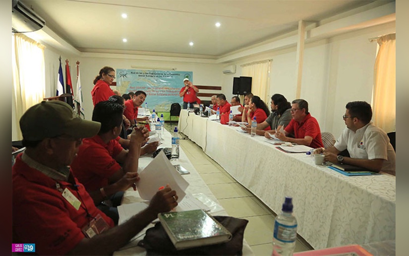 Condenan Trabajadores por Cuenta Propia promoción de la Nica-Act