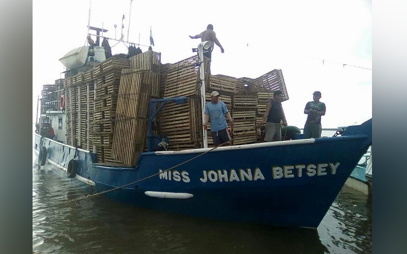 Fuerza Naval realizó nueva búsqueda de cuerpos en barco Miss Johana Betsey