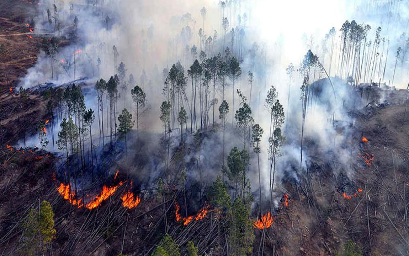 Incendios dañaron más de ocho mil hectáreas en Córdoba, Argentina