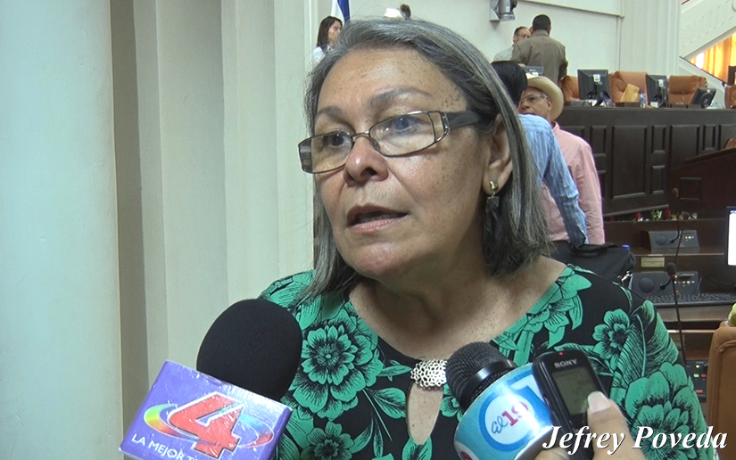 Diputados ven positivo reconocimiento de la OEA a las Elecciones Municipales