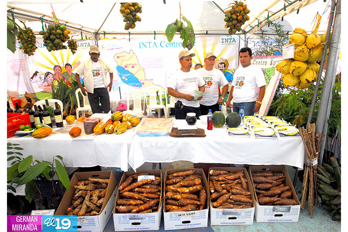 INTA realiza primera Feria Nacional de Tecnología Agropecuaria