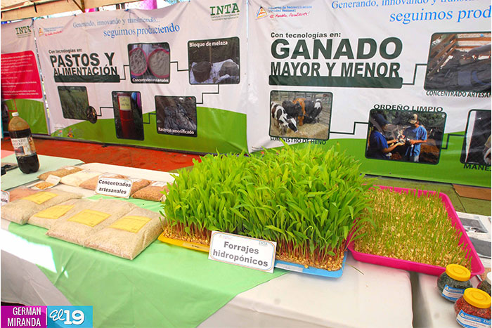 INTA realiza primera Feria Nacional de Tecnología Agropecuaria