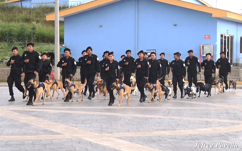 Policía Nacional clausura curso en técnica canina