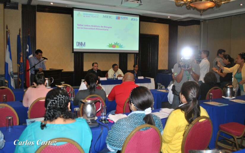 Nicaragua fortalece capacidades en el Codex Alimentario