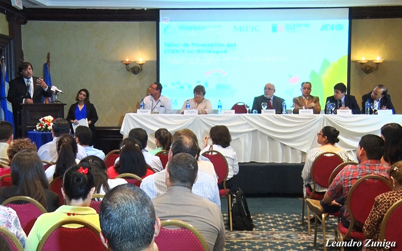 Nicaragua apunta a una mayor inocuidad en los productos a través del Codex Alimentario