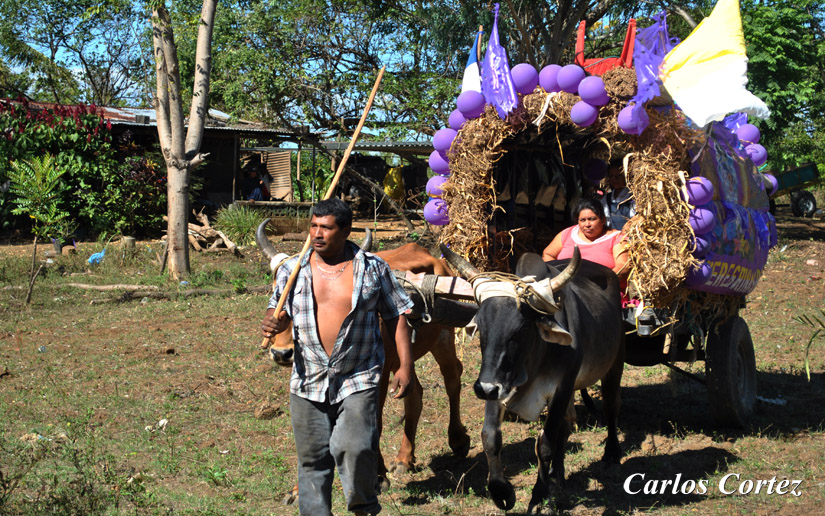 En preparativos carretas peregrinas de Masaya y Granada