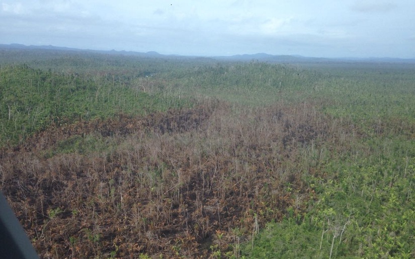 Incendio afectó el 0.7% de toda la superficie que ocupan las ocho áreas protegidas en Indio Maíz