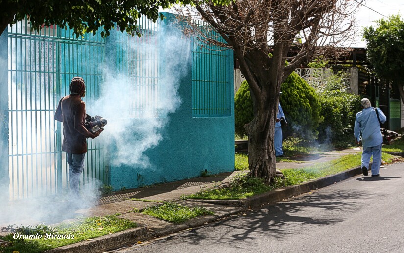 Familias deben intensificar limpieza para evitar epidemias