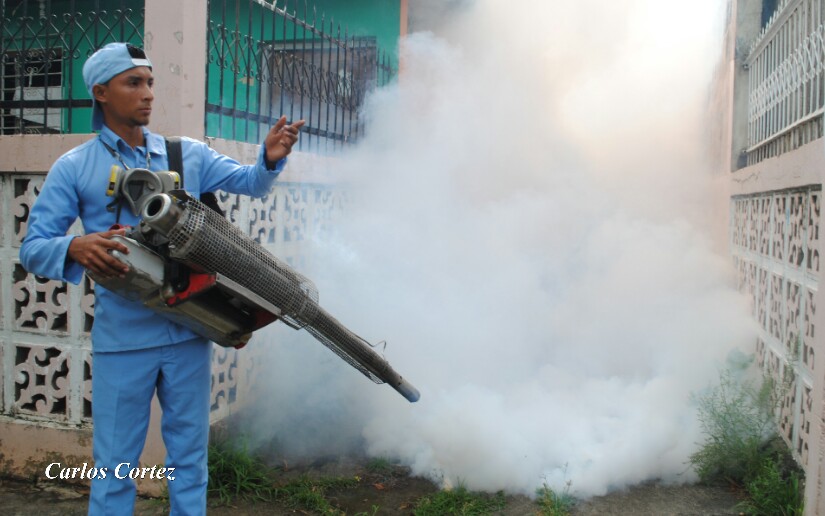 Limpien techos y eliminen la maleza para evitar más zancudos