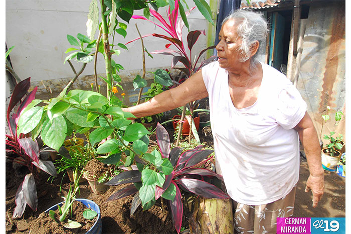 Familias del barrio Grenada protagonizan Programa Patio Saludable