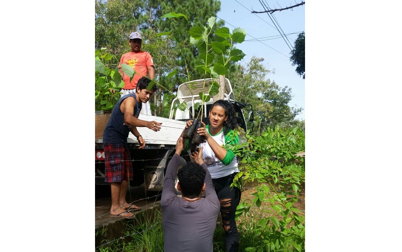 Celebran Día del Árbol reforestando en el Caribe Sur