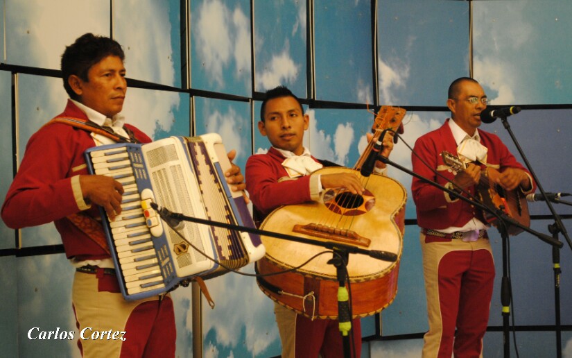 El comandante se queda, la canción que el pueblo ha viralizado