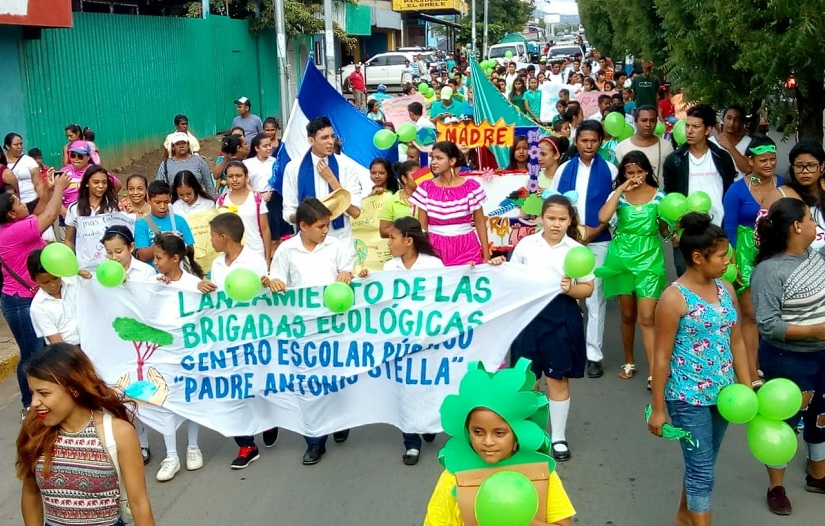 Lanzan campaña de reforestación en Granada