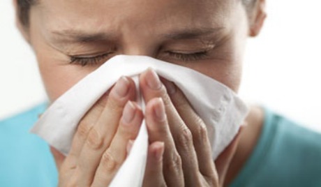 Encurtidos japoneses contra el virus de la gripe