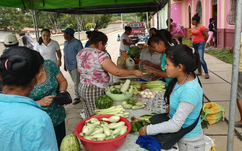 Realizan feria Salida de Cosechas en Mozonte