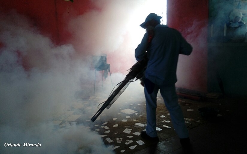 A eliminar calaches si no quiere enfermarse de dengue