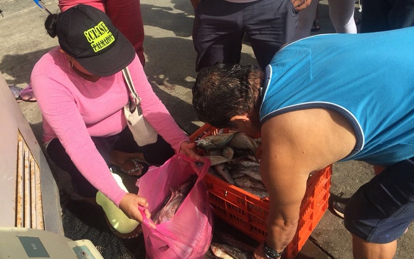 El acopio de pescado en San Juan del Sur mantiene su normalidad