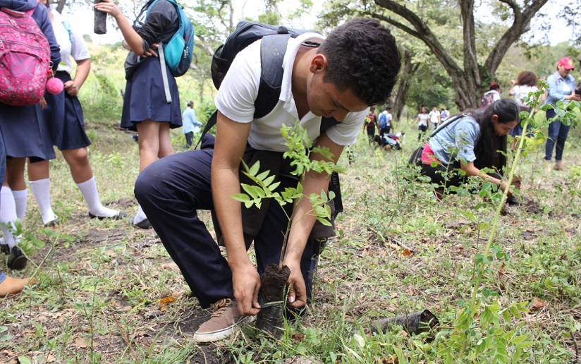 Impulsan Jornada de Reforestación en Estelí