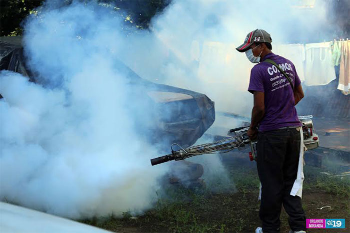 Intensa jornada contra el dengue en barrios del distrito IV de Managua