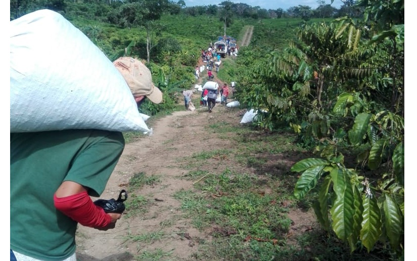 Nueva Guinea desarrolla sus actividades productivas y comerciales con normalidad