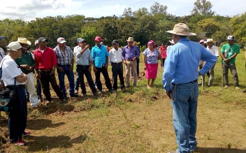 Ministerio Agropecuario capacita a productores en Juigalpa, Chontales 