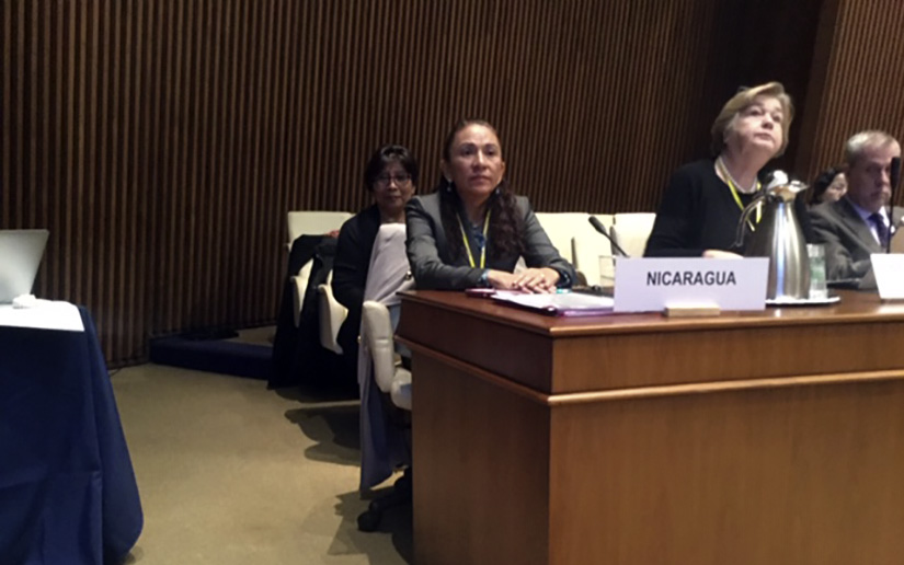 Ministra de Salud participa en Reunión Internacional convocada por la OPS