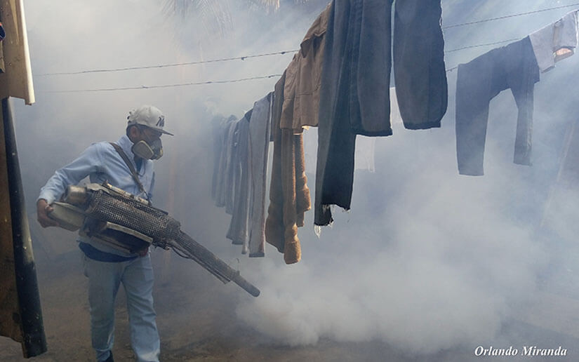 Plan de fumigación efectivo en el barrio Ariel Darce