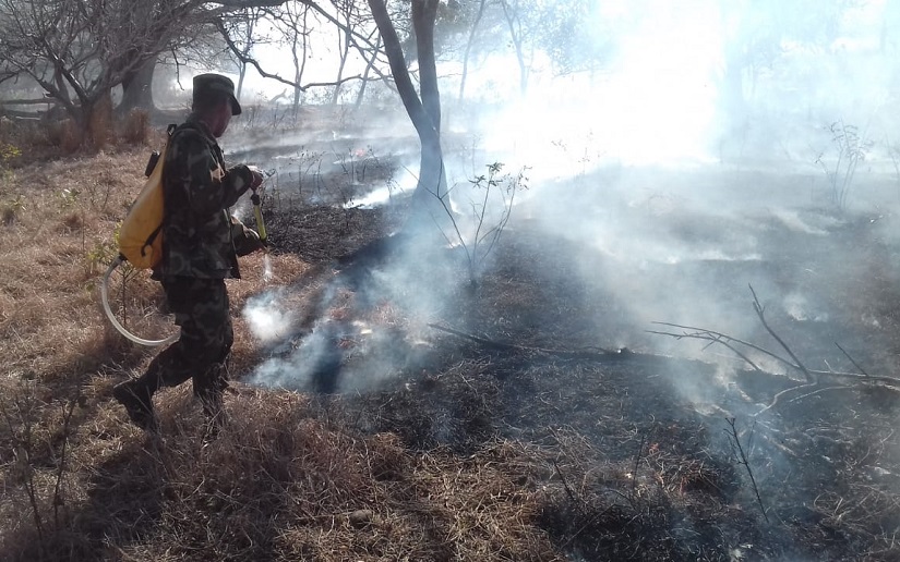Ejército de Nicaragua apoya sofocación de incendio agropecuario en Juigalpa