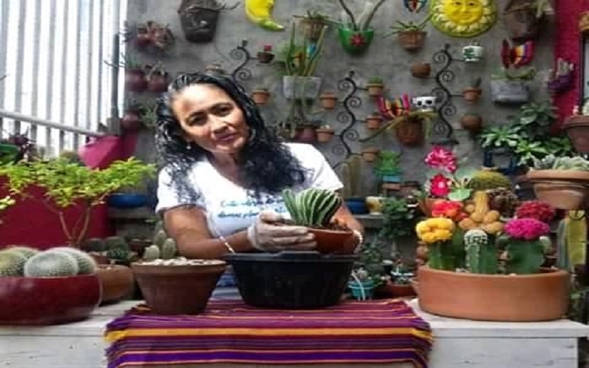 Conozcan a Anita Morales, la mayor coleccionista de Cactus en Nicaragua