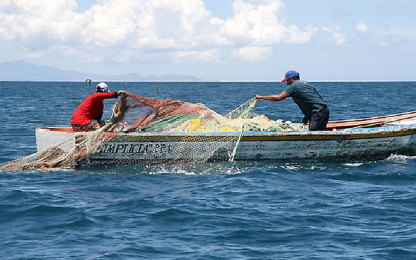 Inpesca en intensa capacitación de pescadores